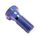 Vis - Simple - Banjo M10 x1.00 - Aluminium - Bleue