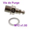 Vis de Purge - M12 x1.00 - Acier